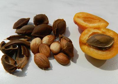 Абрикос с косточками