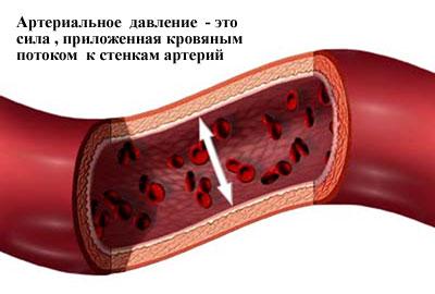 Определение артериального давления