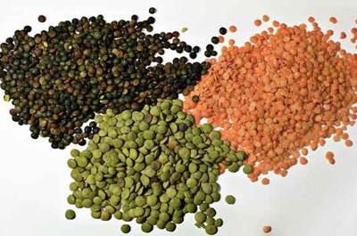 Семена чечевицы