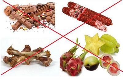 Запрещенные продукты собакам