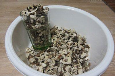 Корень подсолнуха