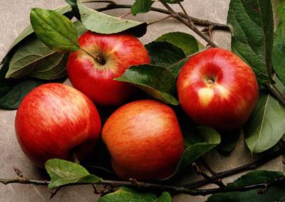 Спелые яблоки