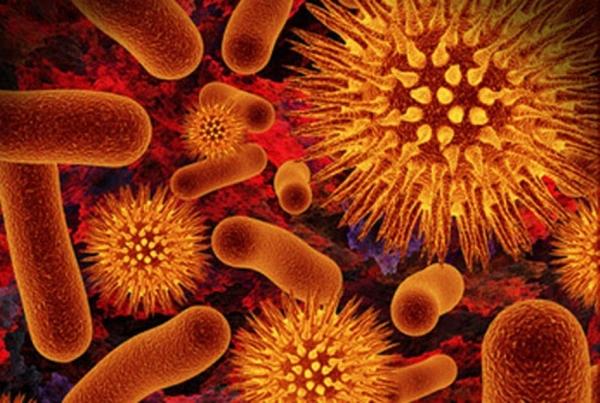 Болезнетворные организмы