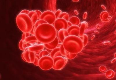 Густая кровь