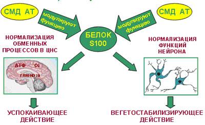 Действие тенотена