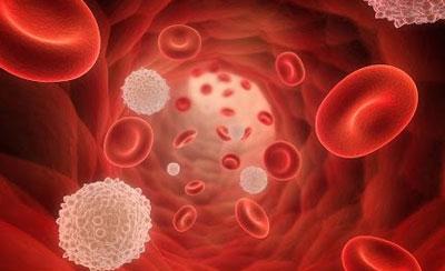 Кровь при лейкопении