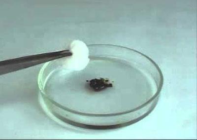 Окисление этилового спирта