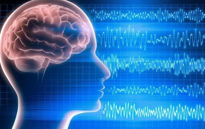 нарушают ритм работы мозга