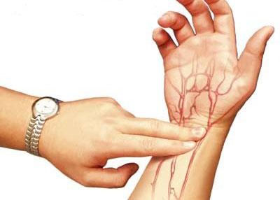 Проверка наличия пульса