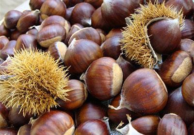 Съедобный каштан