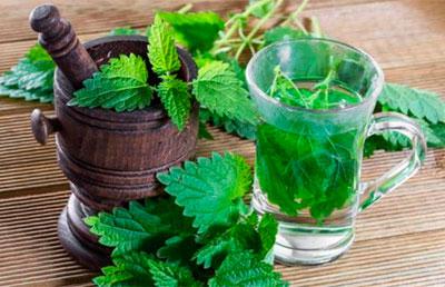 Настой крапивы