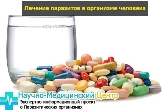 lechenie_glistov_preparatami_gemoparazit_w44-min.jpg