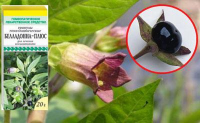 Настойка беладонны