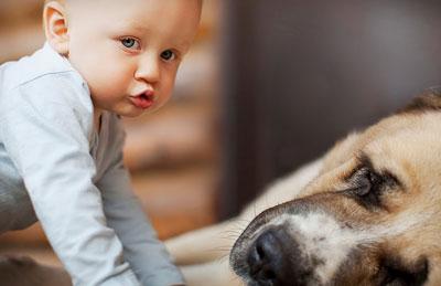 Ребенок и собака