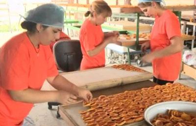 Производство сухофруктов