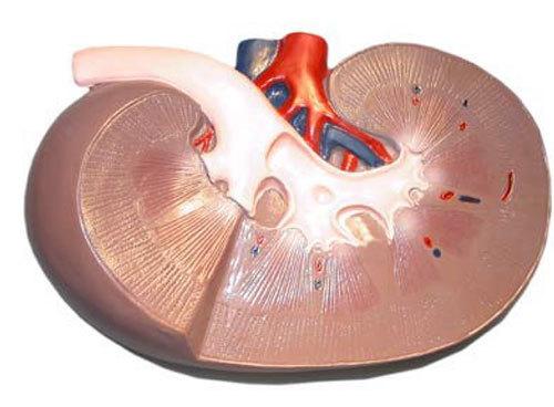 Почечная недостаточность