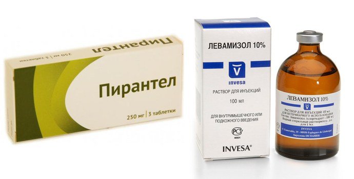 pirantel-i-levomizol.jpg
