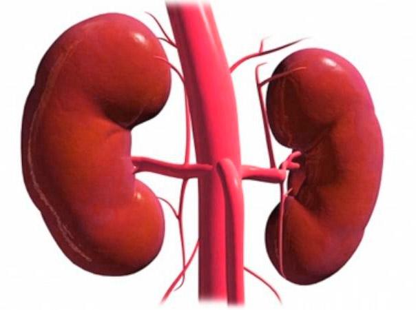 Хроническая почечная недостаточность