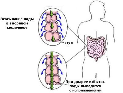 Следствие поноса