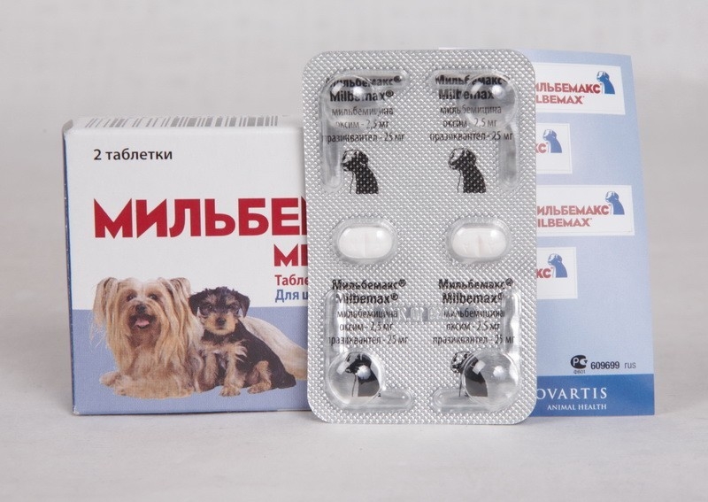 product-MILBEMAX-Milbemaks-tabletki-ot-glistov-dlya-malyh-sobak-i-shchenkov-2-tabletki_77b57b7c6c39e4b5de4eed01c4a31f6c.ipthumb800xprop.jpg