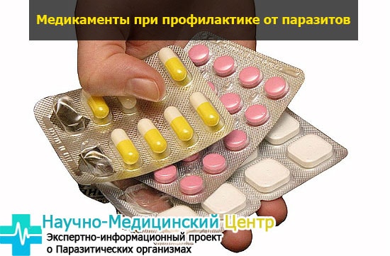 profilactika_parazitov_medikamentami_gemoparazit_w151-min.jpg