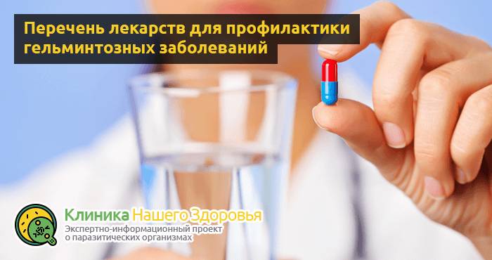 profilaktika-glistov-6.png