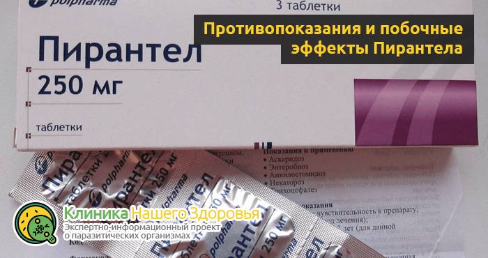 pyrantel-7.png