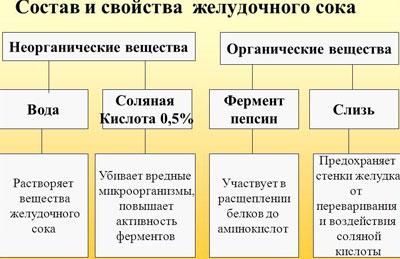 Состав желудочного сока