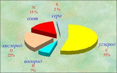 Состав белка