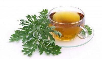 Отвар полыни