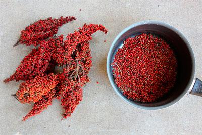 Гомеопатическое сырье из сумаха