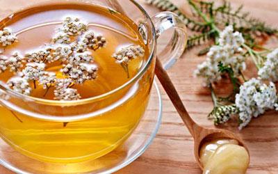 Отвар тысячелистника