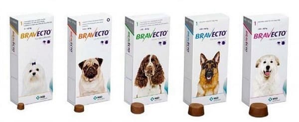 tabletki-bravekto-dlya-profilaktiki-piroplazmoza-u-sobak.jpg