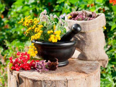 Собранные травы