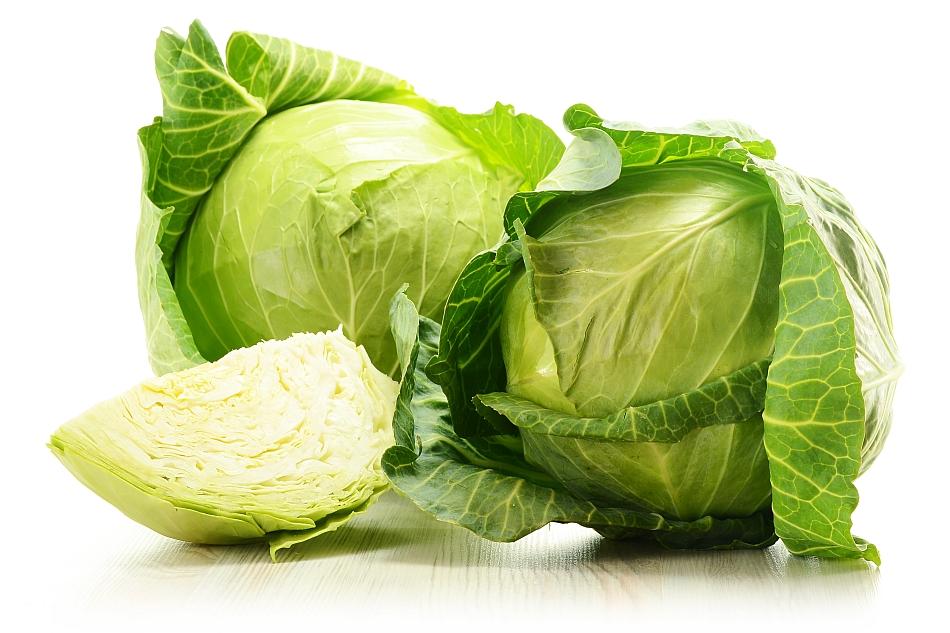 Белокочанная капуста