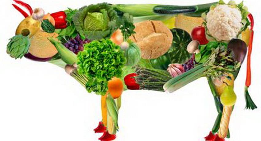 Вегетарианство 