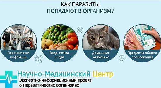 zarajenie_parazitami_gemoparazit_w13-min.jpg