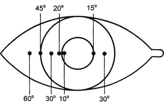 угол косоглазия