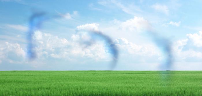 сетчатка как видит человек