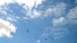 мушки в глазах