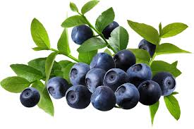 черника для зрения