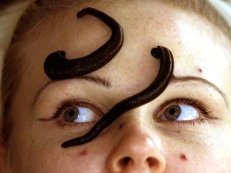 пиявки для глаз