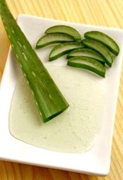 алоэ для зрения