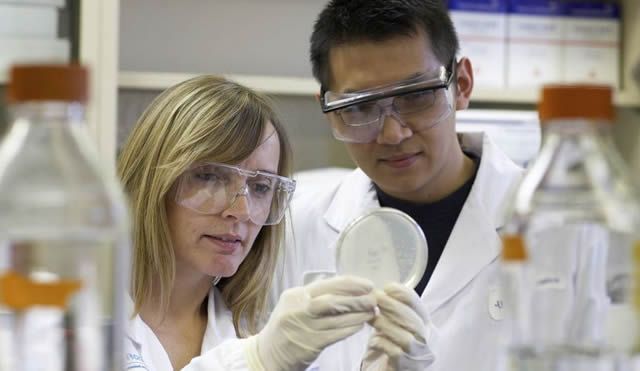 анализы из глаз