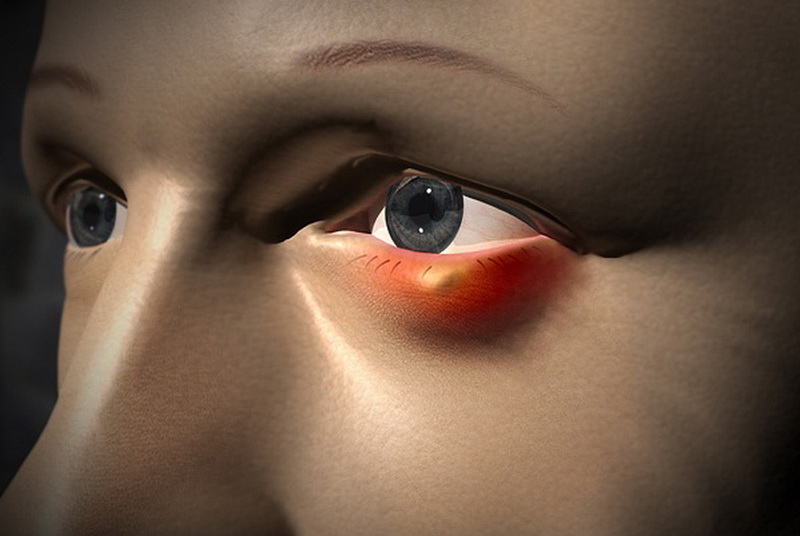 как выглядит