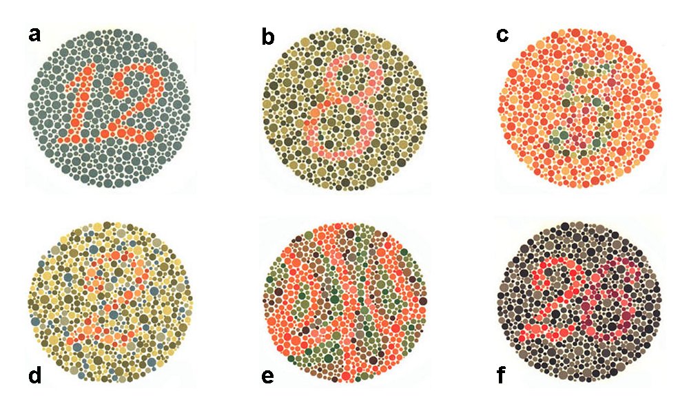 текст ишихара