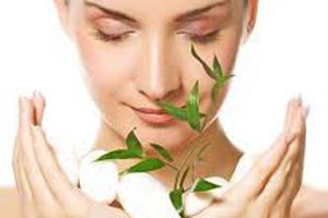 трава демодекоз