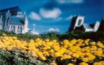 как видит глаз