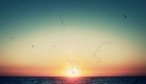 причины мушек